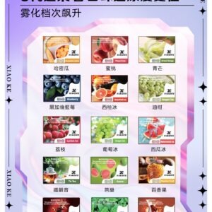 XIAOKE 可替換式電子煙 (通用 RELX6代) (實用款)
